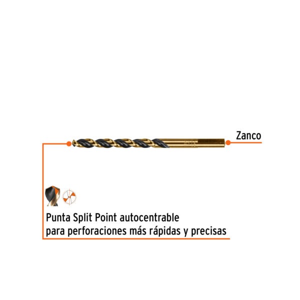 Imagen del producto 11134 - BAV-1-4+FC1