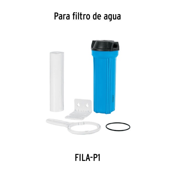 Imagen del producto 49216 - CARFIL-P1+D1