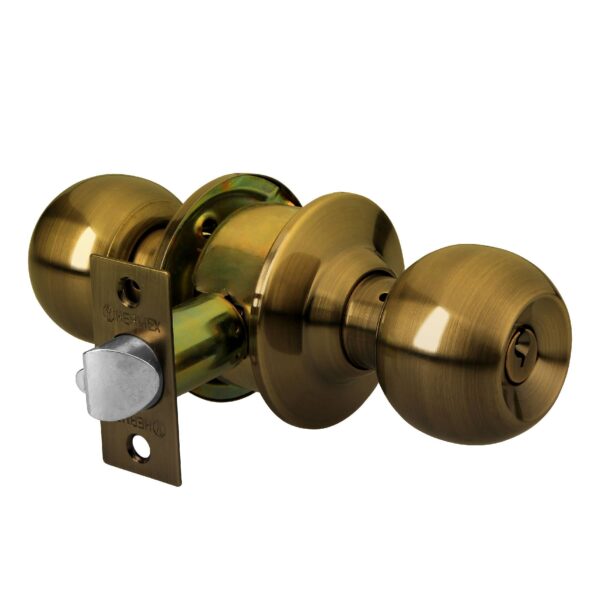 Imagen del producto 43470 - CEPO-21R+D1