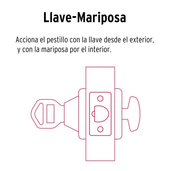 Imagen del producto 43596 - CERO-21+FC2