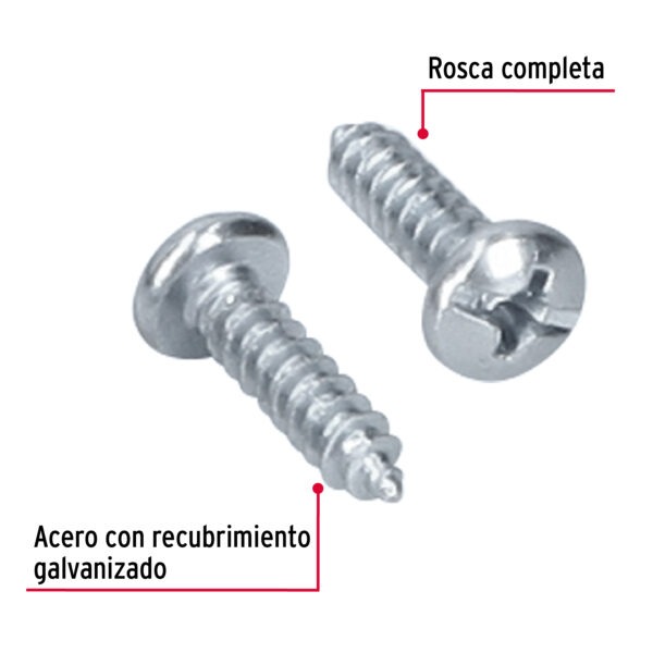 Imagen del producto 44413 - PILA-8X5-8+FC1